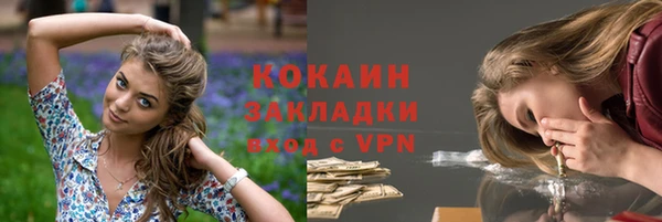 сатива Козельск