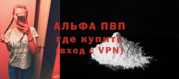 сатива Козельск