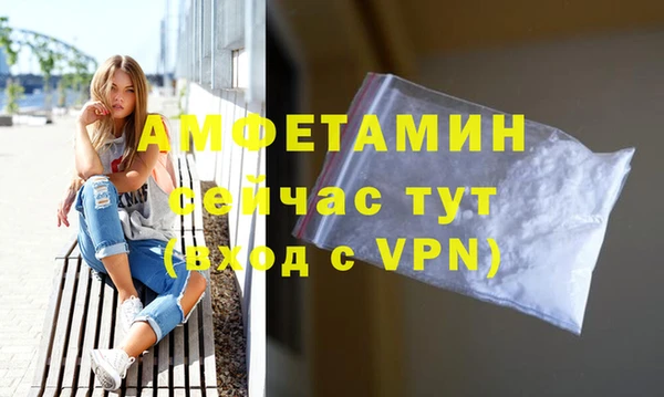 сатива Козельск